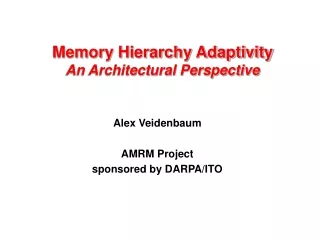 Memory Hierarchy Adaptivity An Architectural Perspective