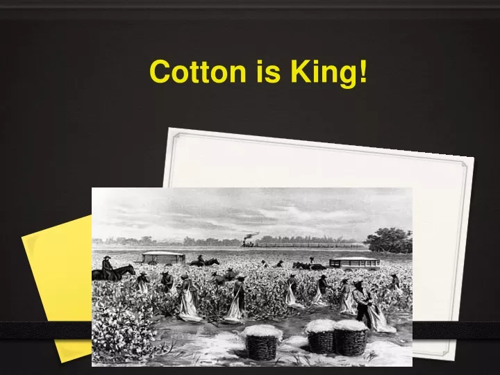 cotton is king