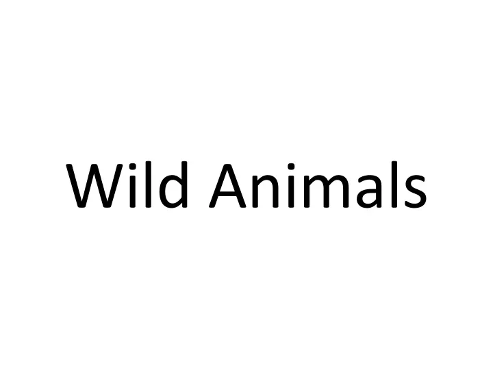 wild animals