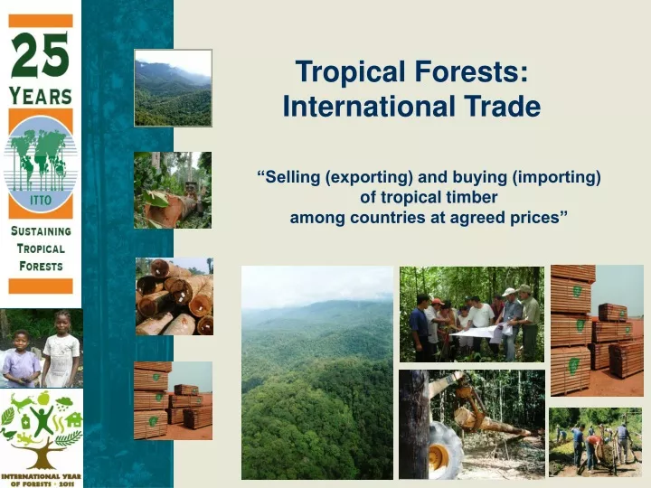 tropical forests international trade
