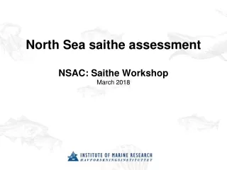 North Sea saithe assessment NSAC: Saithe Workshop  March 2018