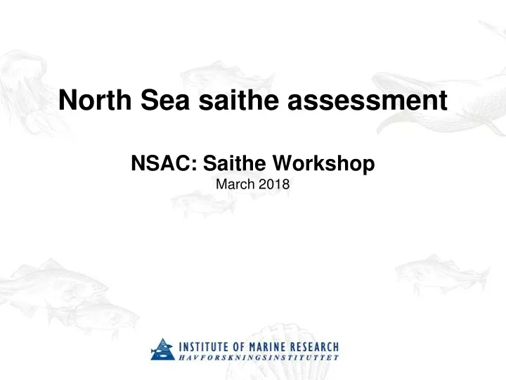 north sea saithe assessment nsac saithe workshop march 2018