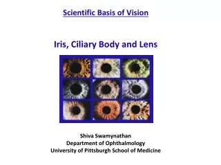 Scientific Basis of Vision Iris, Ciliary Body and Lens Shiva Swamynathan