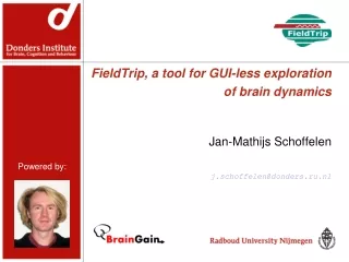 FieldTrip, a tool for GUI-less exploration of brain dynamics