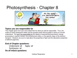 Photosynthesis - Chapter 8