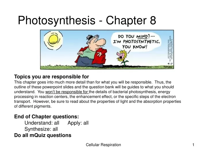 photosynthesis chapter 8
