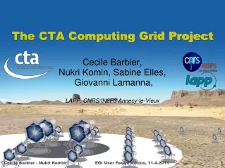 The CTA Computing Grid Project