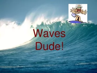 Waves Dude!