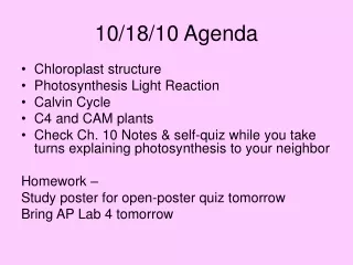 10/18/10 Agenda