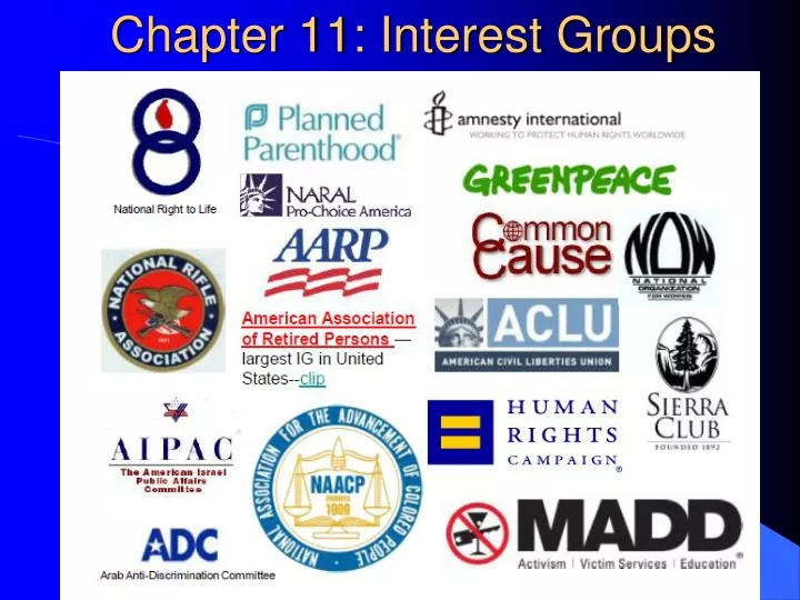 chapter 11 interest groups
