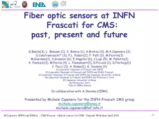 Fiber optic sensors at INFN Frascati for CMS:   past, present and future