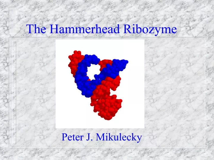 the hammerhead ribozyme