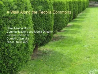 A Walk Along the Fedora Commons Carol Minton Morris Communications and Media Director
