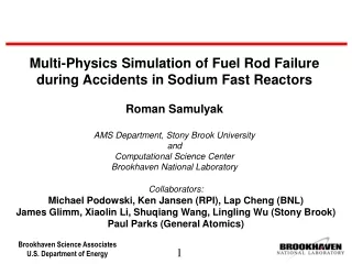 Multi-Physics Simulation of Fuel Rod Failure during Accidents in Sodium Fast Reactors