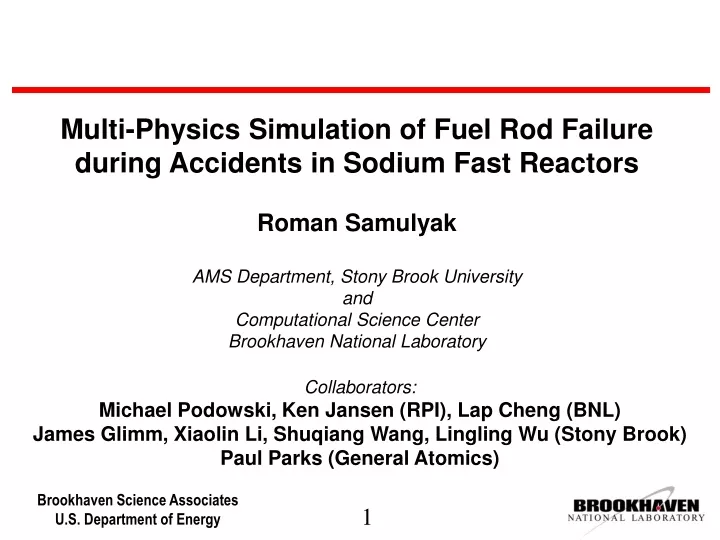 multi physics simulation of fuel rod failure