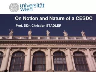 On Notion  and  Nature  of  a CESDC