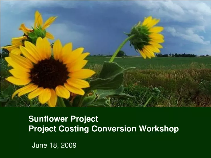 sunflower project project costing conversion workshop
