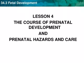 LESSON 4 THE COURSE OF PRENATAL DEVELOPMENT AND PRENATAL HAZARDS AND CARE