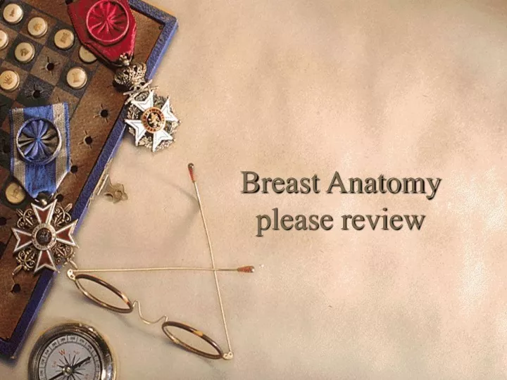 breast anatomy please review