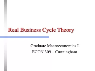 Real Business Cycle Theory
