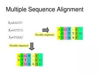 Multiple Sequence Alignment