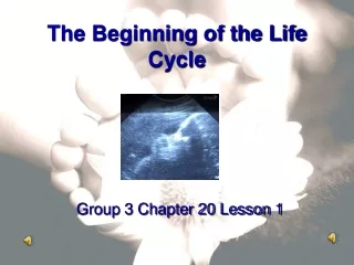 The Beginning of the Life Cycle