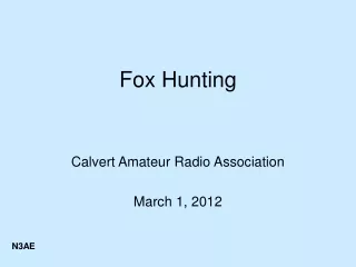 Fox Hunting