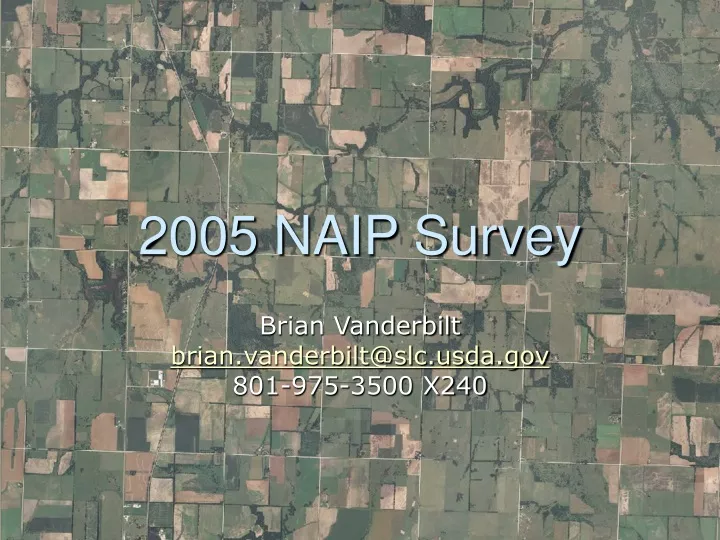 2005 naip survey
