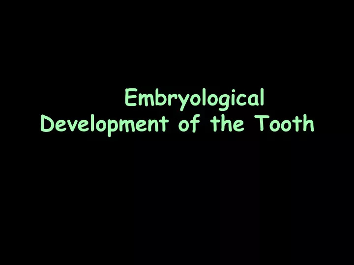 embryological development of the tooth