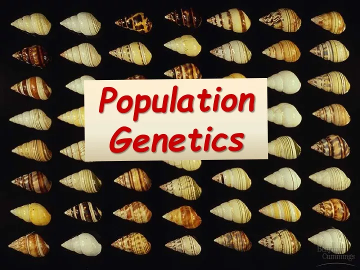 population genetics