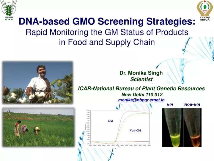 dna based gmo screening strategies rapid