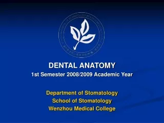 DENTAL ANATOMY 1st Semester 2008/2009 Academic Year Department of Stomatology