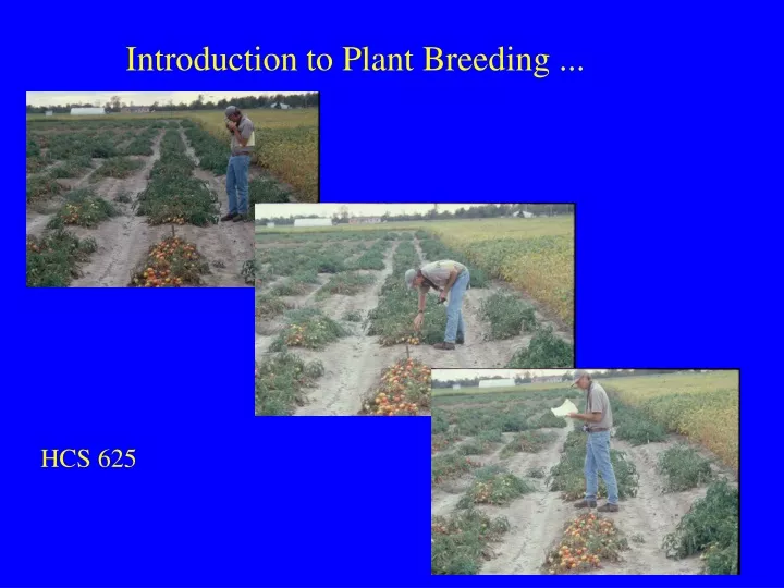 introduction to plant breeding