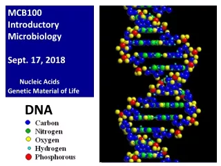 DNA