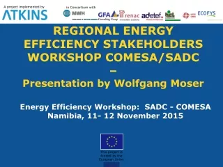 REGIONAL ENERGY EFFICIENCY STAKEHOLDERS WORKSHOP COMESA/SADC –  Presentation by Wolfgang Moser