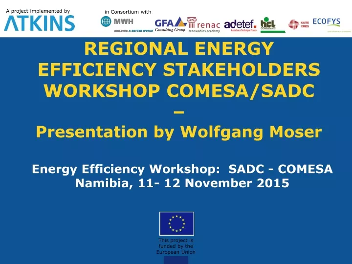 regional energy efficiency stakeholders workshop comesa sadc presentation by wolfgang moser