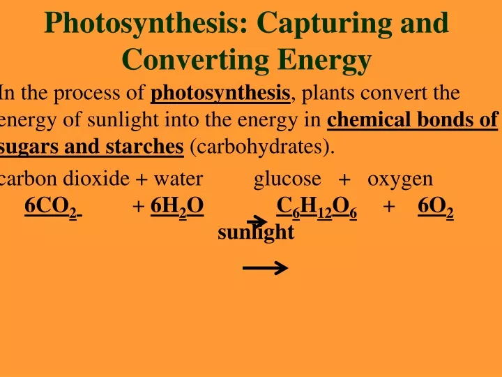 photosynthesis capturing and converting energy