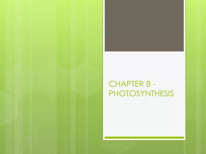 chapter 8 photosynthesis