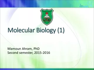 Molecular Biology (1)