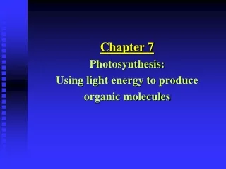 Chapter 7 Photosynthesis: Using light energy to produce organic molecules
