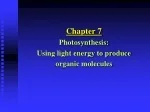 Chapter 7 Photosynthesis: Using light energy to produce organic molecules - slide 1