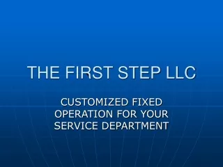 THE FIRST STEP LLC