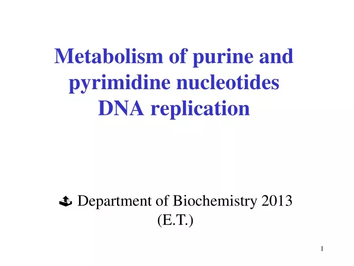 metabolism of purine and pyrimidine nucleotides dna replication