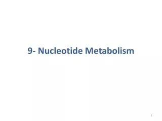 9- Nucleotide Metabolism