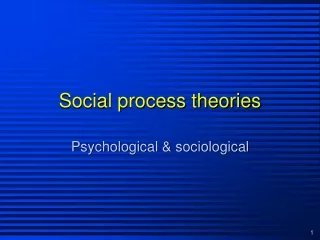 Social process theories