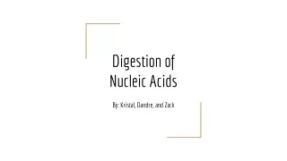 Digestion of Nucleic Acids