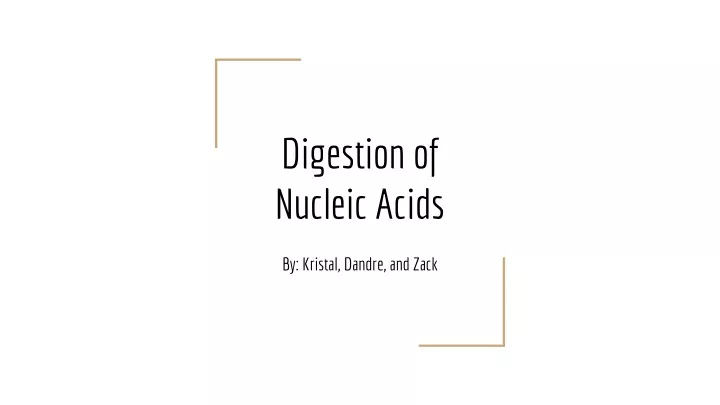 digestion of nucleic acids