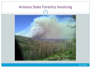 Arizona State Forestry Invoicing