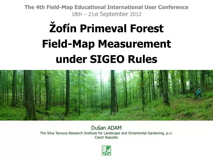 of n primeval forest field map measurement u nder sigeo rules