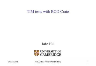 TIM tests with ROD Crate